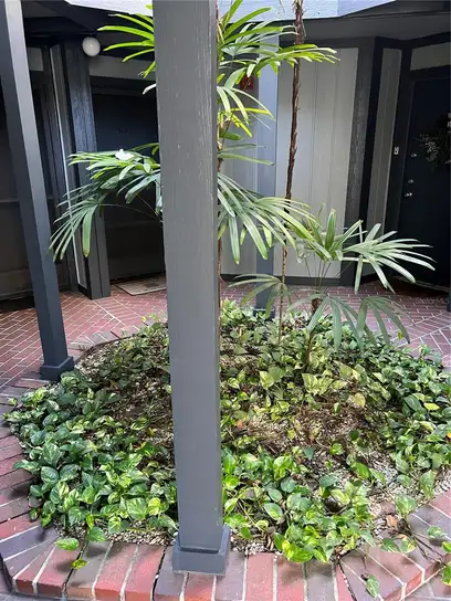 Condominium